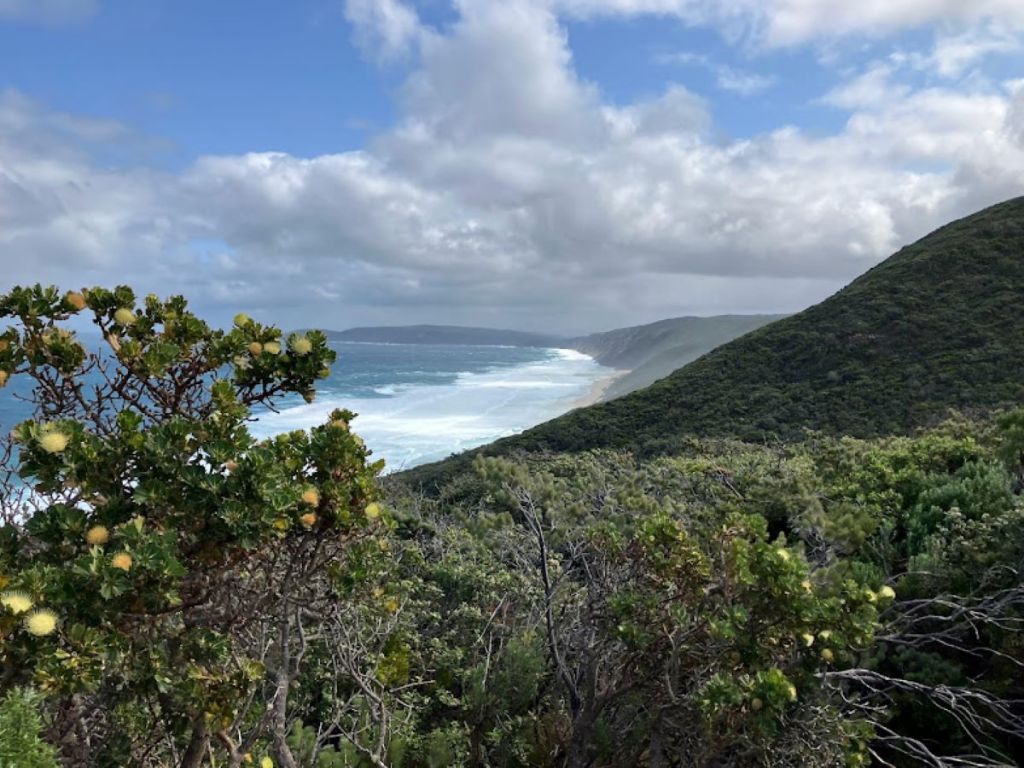 Coastal scenery West Cape Howe NP