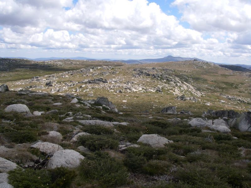 Kerries Ridge with Mt Jagungal in background. Kosciuszko National Park.