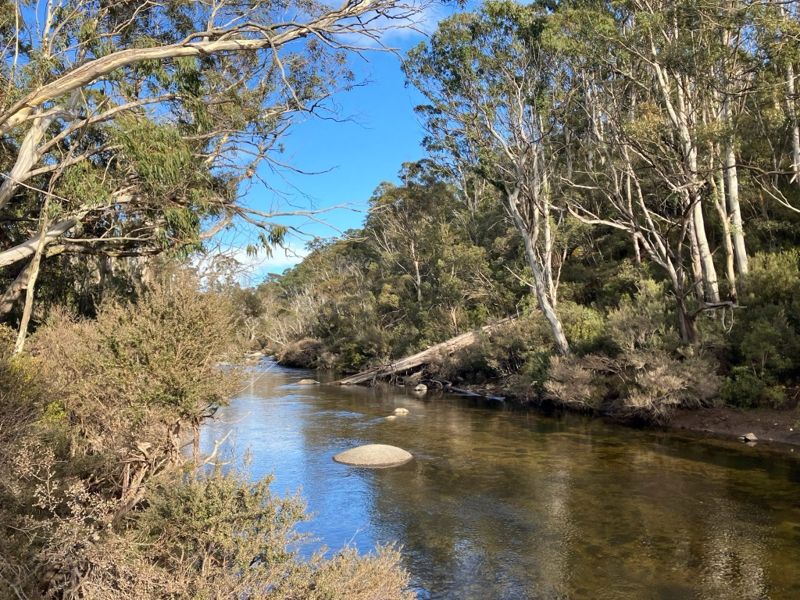 Snowy River. Kosciuszko National Park.