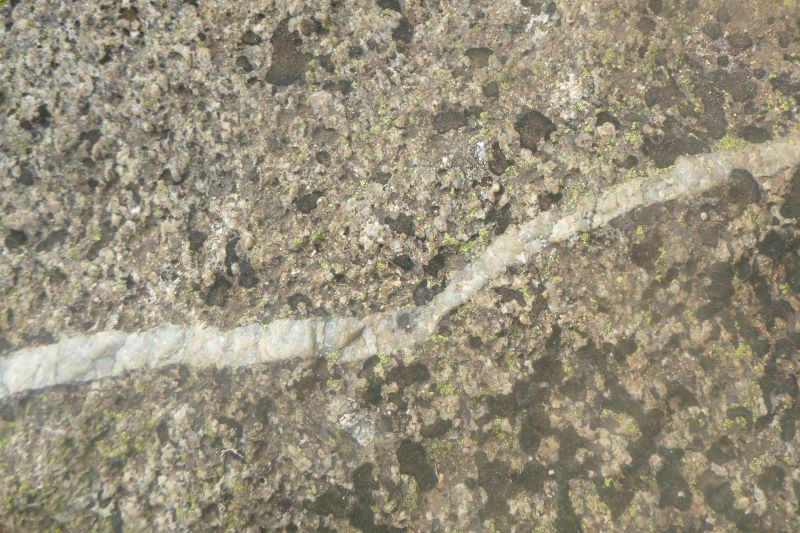 Mowambah granodiorite. Kosciuszko National Park.