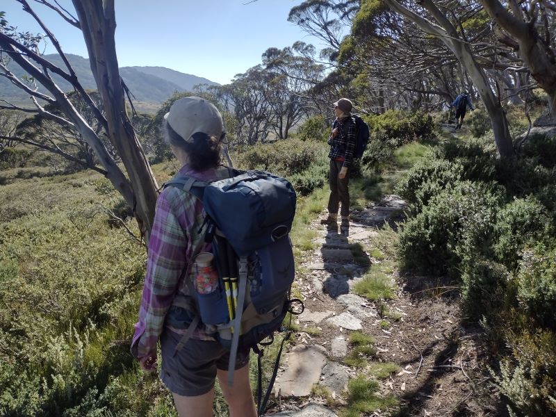 Hardened Track Surface . Snowies Alpine Walk. Kosciuszko National Park.