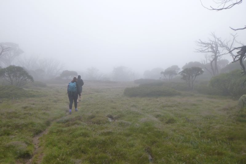 Old bushwalkers pad from Perisher Gap to The Porcupines.