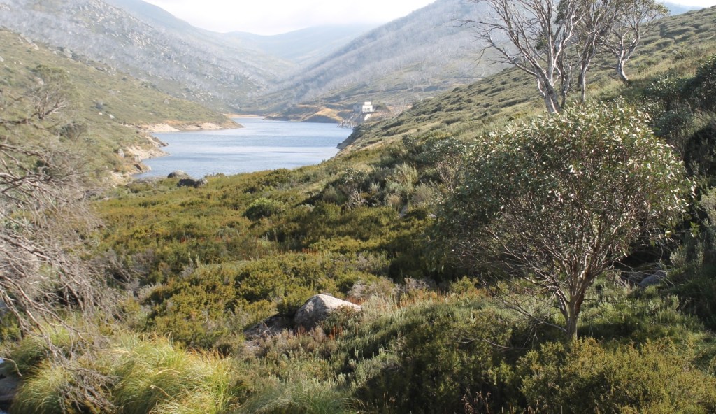 Guthega Pondage. Kosciuszko National Park.