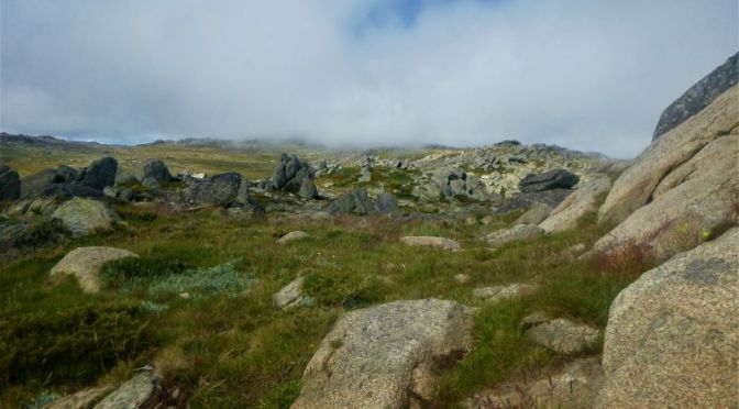Exploring Mt Stilwell.  A short stroll in Australia’s Snowy Mountains.