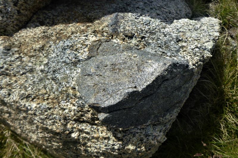 Xenolith in Mowambah granodiorite. Mt Stilwell. Kosciuszko National Park