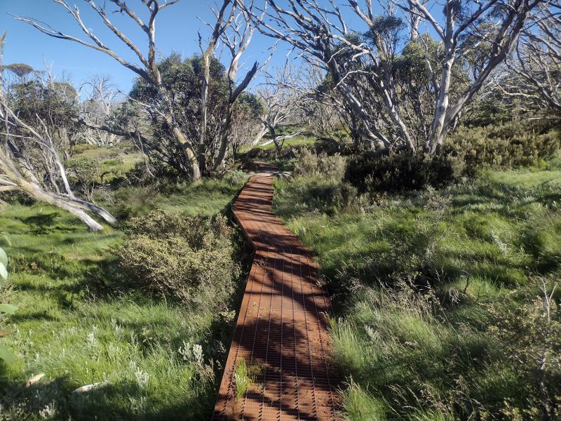 Perisher to Bullocks Flat Track. Kosciuszko National Park.