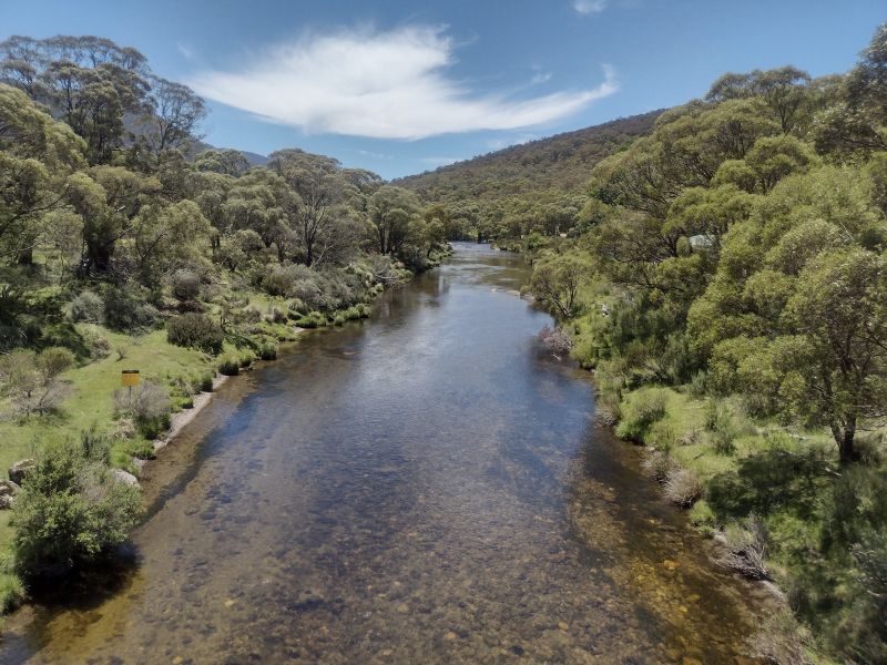 Straight course of Thredbo River looking upsream to Bullocks Flat.