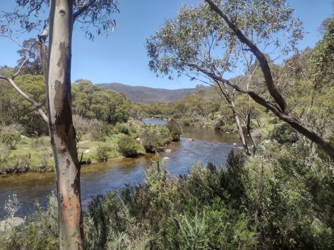Snowies Alpine Walk: Perisher to Bullocks Flat.