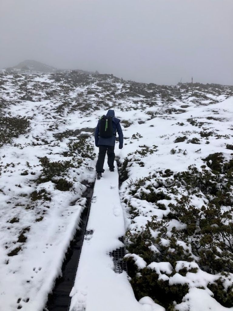 Cradle Plateau on a not so good day. The Horse Track. Cradle Mountain National Park.