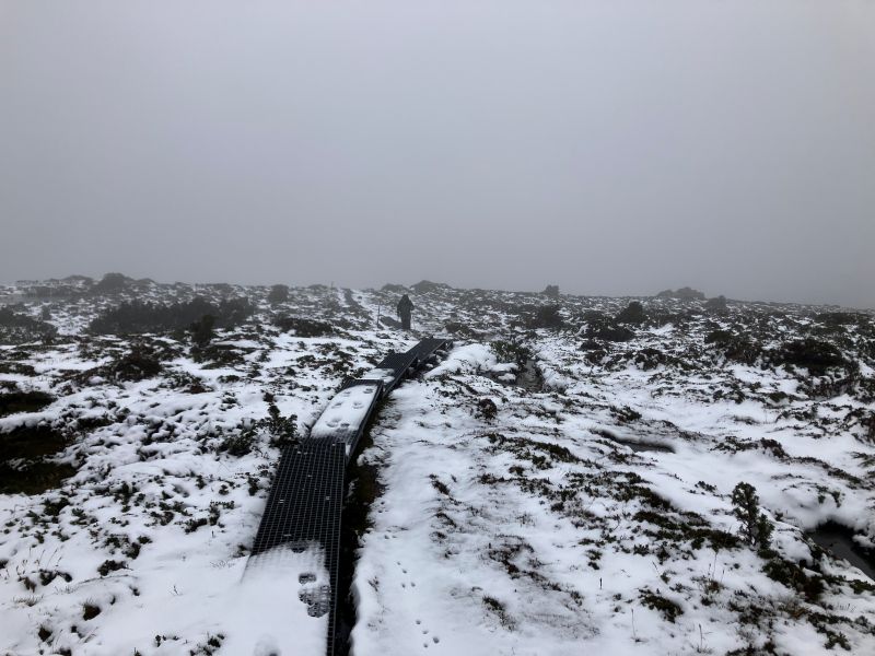 Horse Track on Cradle Plateau. Cradle Mountain National park. Tasmania