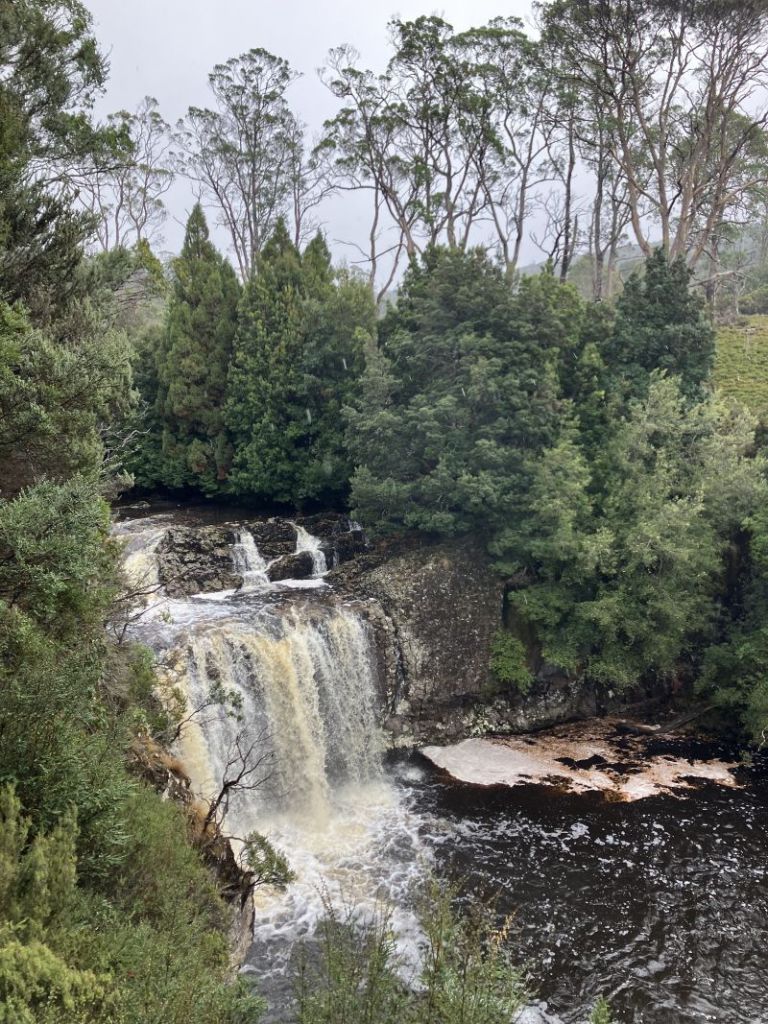 Pencil Pine Creek. Cradle Mountain. Tasmania.