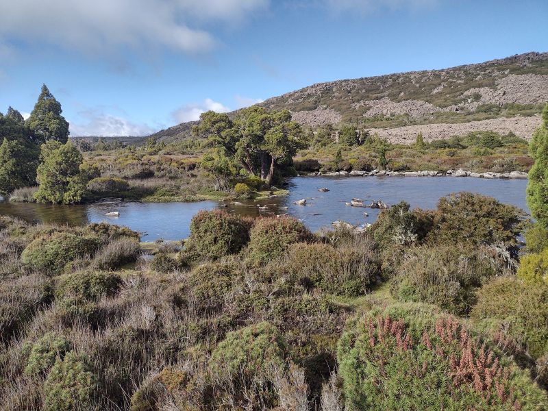 Little Pine Lake. Central Plateau. Tasmania