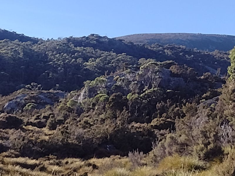 Roche Mountonee. Cradle Mountain National Park. Tasmainia.