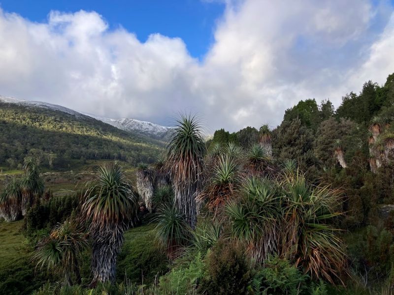 Clouds gathering over Cradle Plateau. Cradle Mountain. Tasmania.