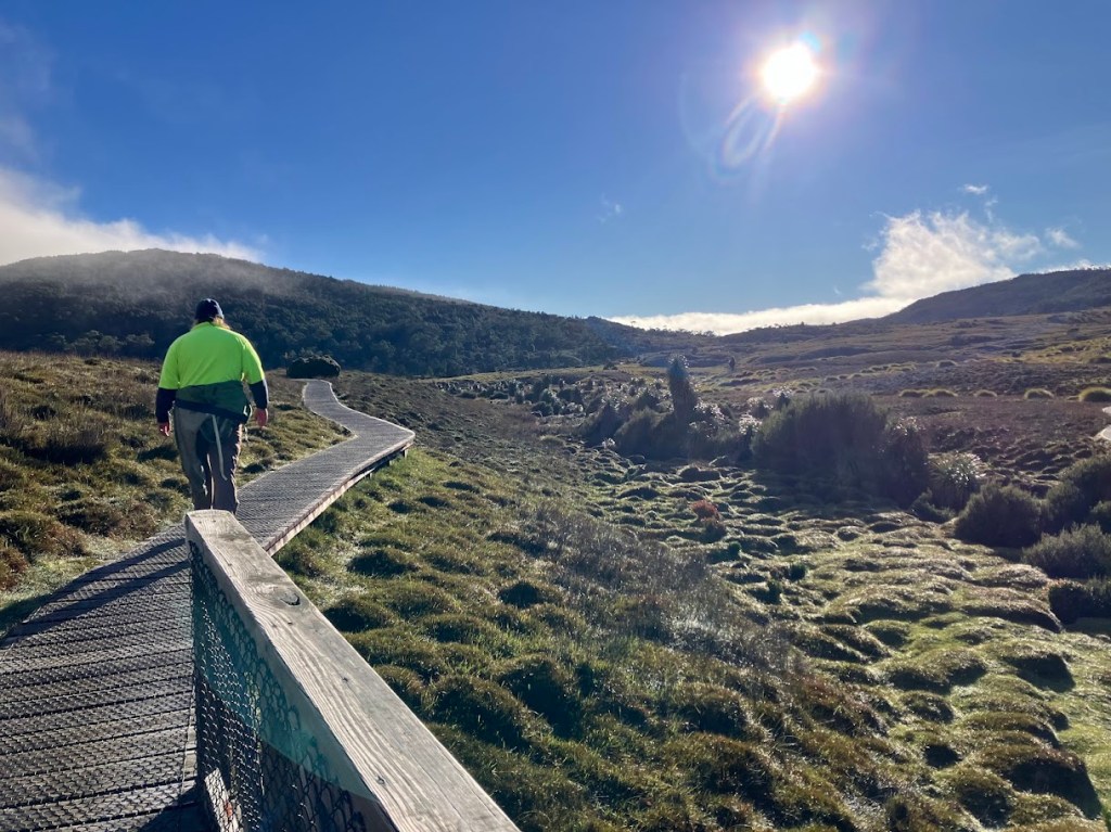 Ronny Creek. Cradle Mountain. Tasmania.