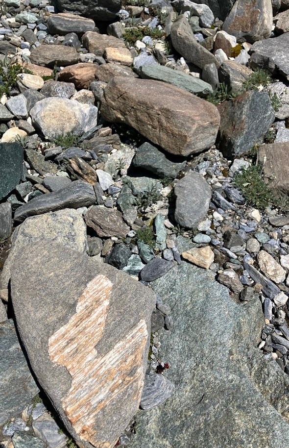 Unsorted moraine deposits.