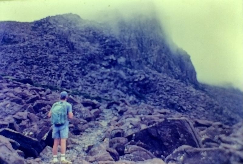 Hiking Ben Lomond. 1992
