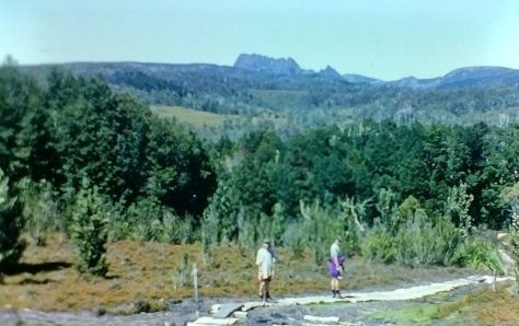 Overland Track 1992. Tasmania
