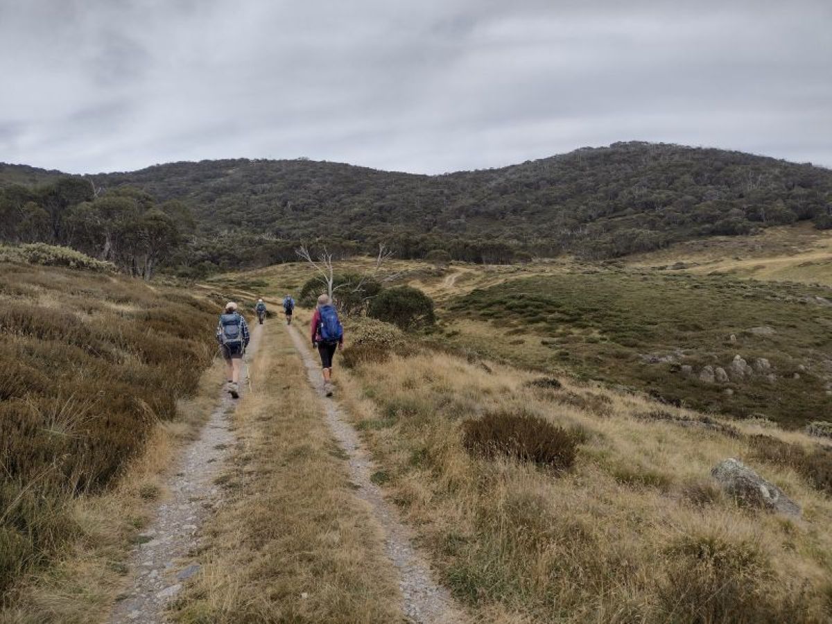 Pipers Creek Track: A little gem in Kosciuszko National&nbsp;Park