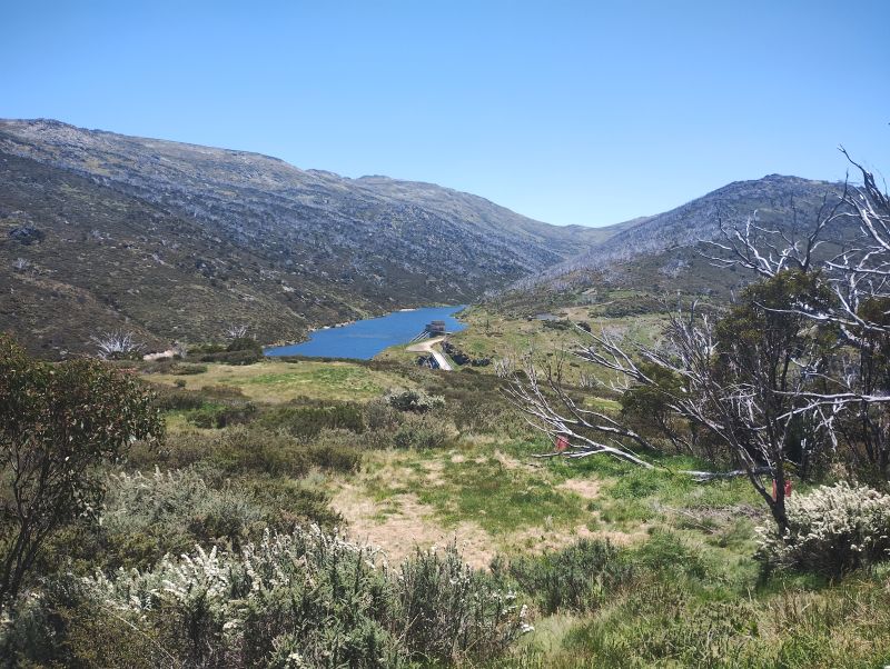 Guthega Pondage. Kosciuszko NP.