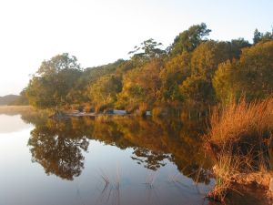 Lake Mc Kenzie. K'gari.