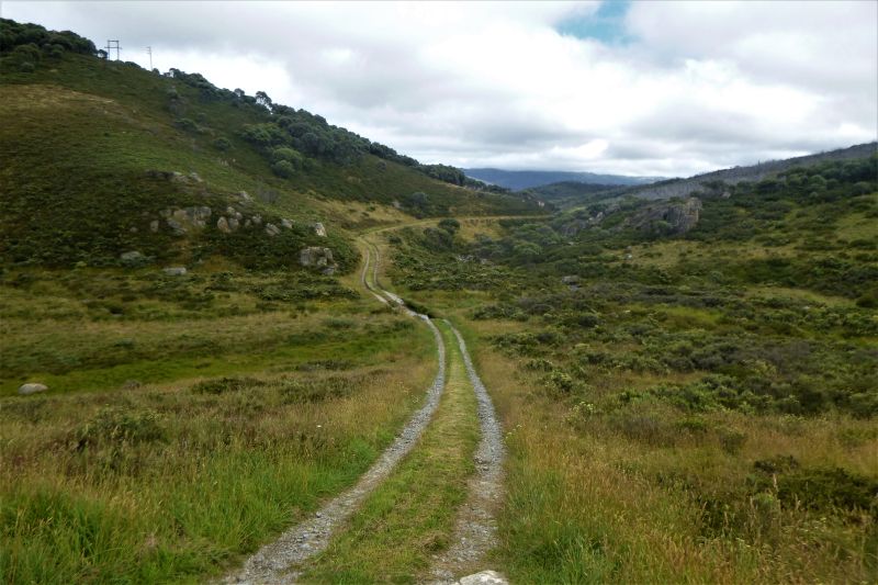 Pipers Ck Management Track. Kosciuszko NP.