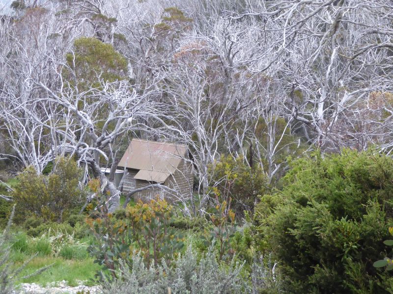 Snowy Hydro Hut on Munyang River. Kosciuszko NP.