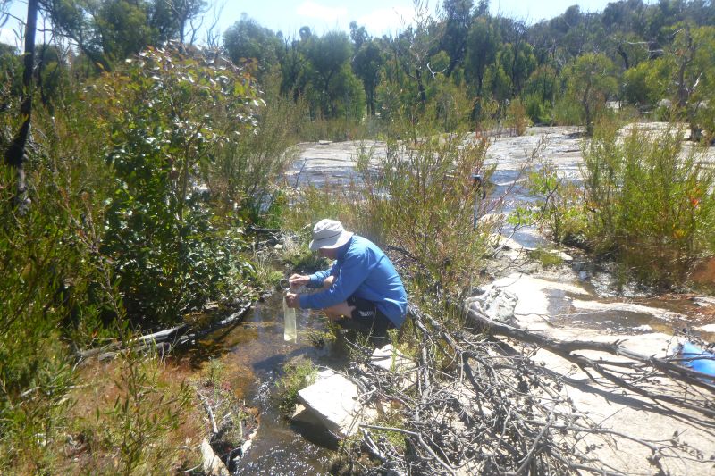 Collecting water from a soak. Girraween National park
